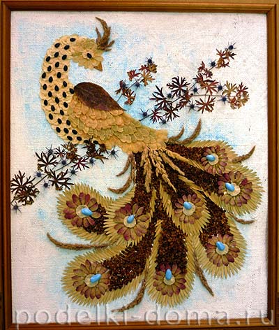 «Павлин» — аппликация из природного материала