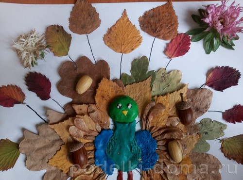 «Павлин» — аппликация из природного материала