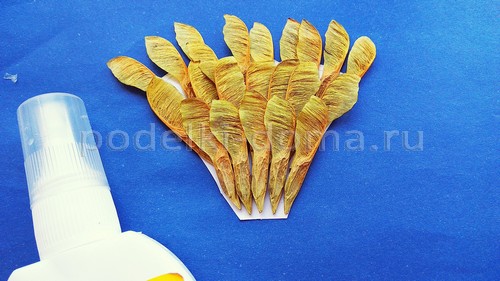 «Павлин» — аппликация из природного материала