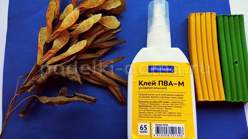 «Павлин» — аппликация из природного материала