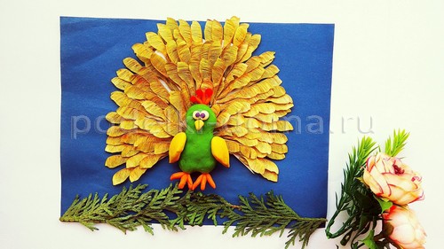 «Павлин» — аппликация из природного материала
