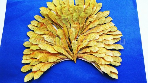 «Павлин» — аппликация из природного материала