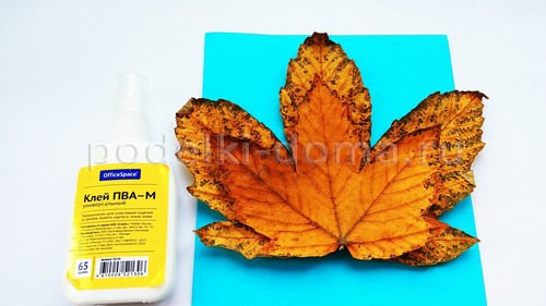 «Павлин» — аппликация из природного материала