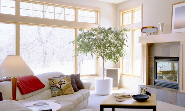 Пять советов помогут привлечь деньги в дом по фэншуй Пять советов помогут привлечь деньги в дом по фэншуй