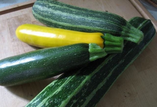 Запасаемся на зиму ценным продуктом: как сохранить кабачки до весны Запасаемся на зиму ценным продуктом: как сохранить кабачки до весны