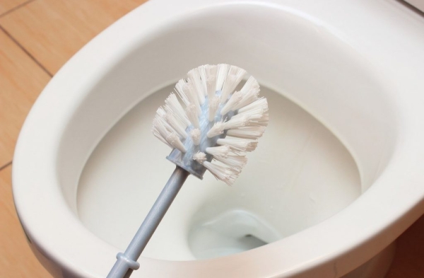 Дешево и надежно: зачем класть чайный пакетик в унитаз