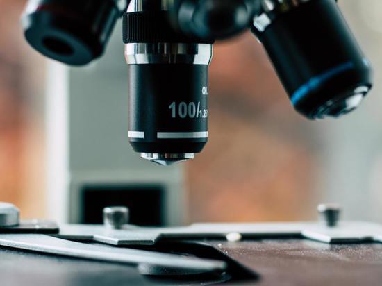 Исследование воздействия глистов на организм показали неожиданное: продлевают молодость