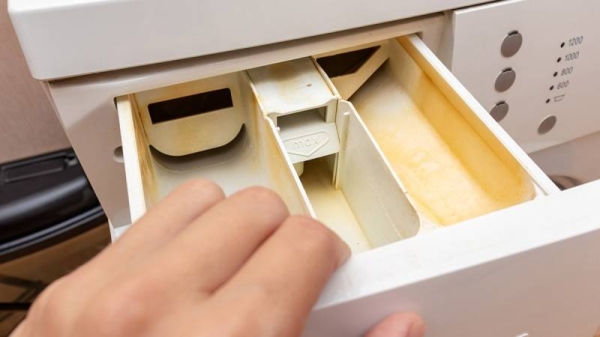 Как удалить плесень и налет и в чем замочить лоток стиральной машины