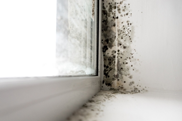 Какие народные средства и современные способы можно использовать, чтобы окна не плакали зимой