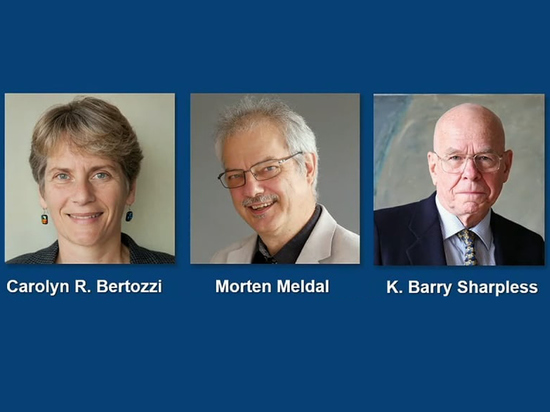 Нобелевку по химии дали за превращение химических молекул в «конструктор»