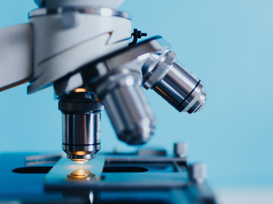 Нобелевскую премию присудили за «клик-химию»