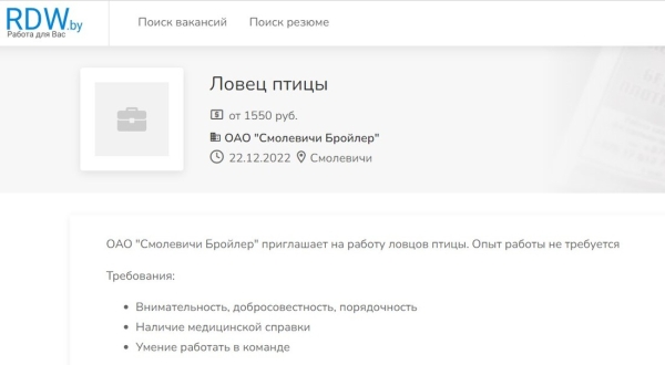 Топ необычных вакансий в Беларуси. Реальные объявления, которые вас удивят Топ необычных вакансий в Беларуси. Реальные объявления, которые вас удивят