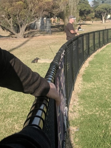 20 неоднозначных фото 20 неоднозначных фото