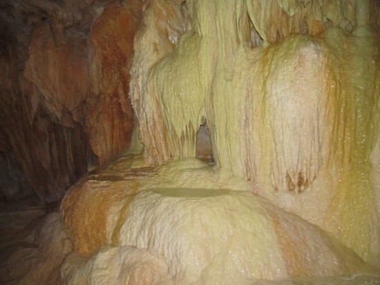 В Баксанской нейтринной обсерватории нашли существо: может быть подобно инопланетным