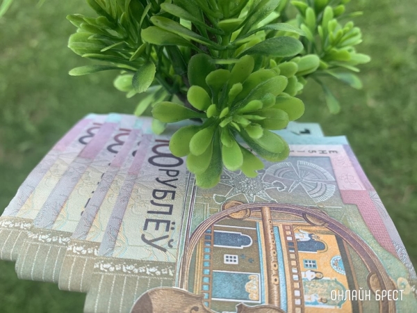 В МНС пояснили, зачем в Беларуси ввели налог на профдоход