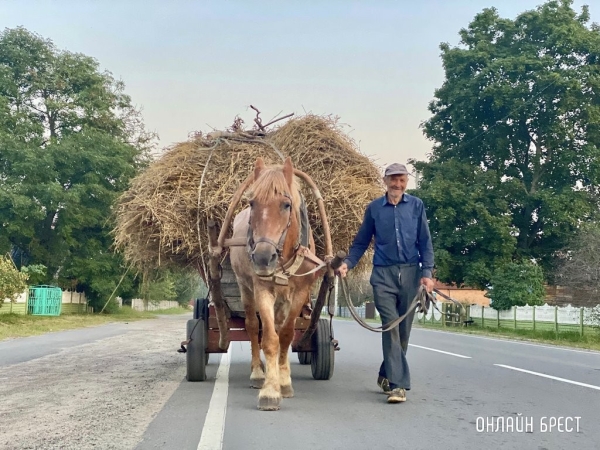 Пенсии в 2023 году собираются повысить трижды Пенсии в 2023 году собираются повысить трижды