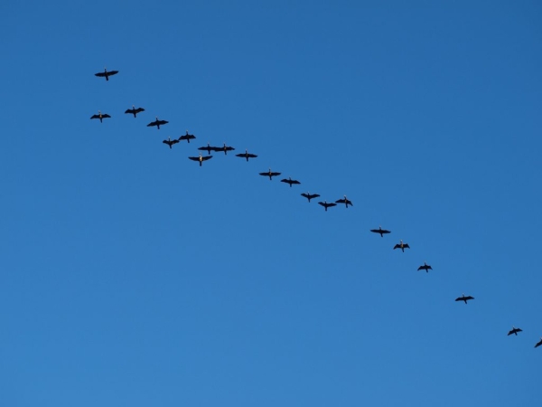 В чем магия дня весеннего равноденствия 2023 года: дата и приметы