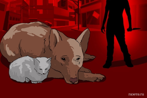 Кто стоит за созданием живодерских каналов в Telegram 