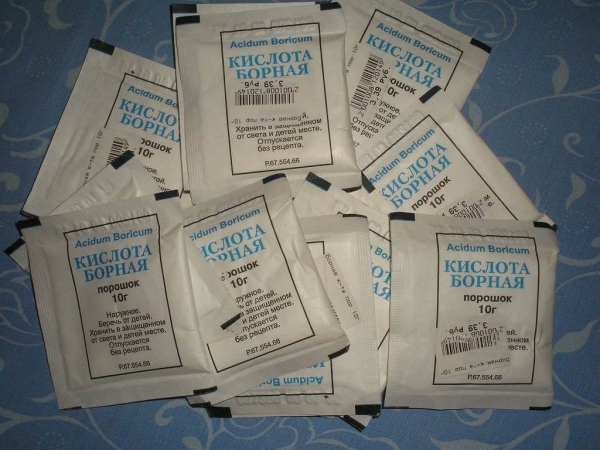 Лайфхак, который поможет избавиться от тараканов в доме навсегда