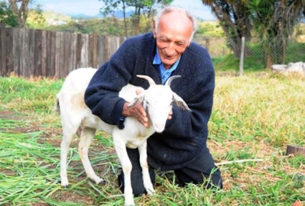 Какие браки самые необычные?