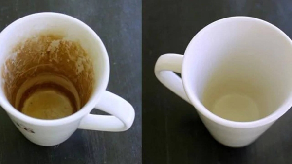 Несколько способов удалить коричневые пятна от кофе и чая с кружек Несколько способов удалить коричневые пятна от кофе и чая с кружек