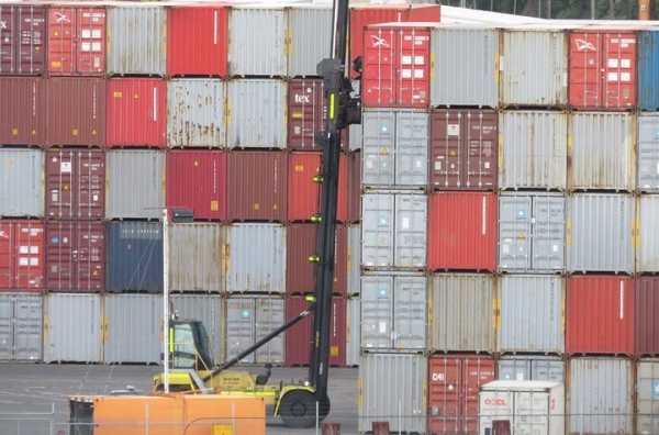 Что Беларусь покупает у Индии: смотрим список товаров