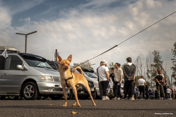 С 2025 года мы будем платить налоги вот так. Объясняем, что изменится